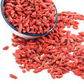 Ningxia fabrica bayas de Goji 20kg